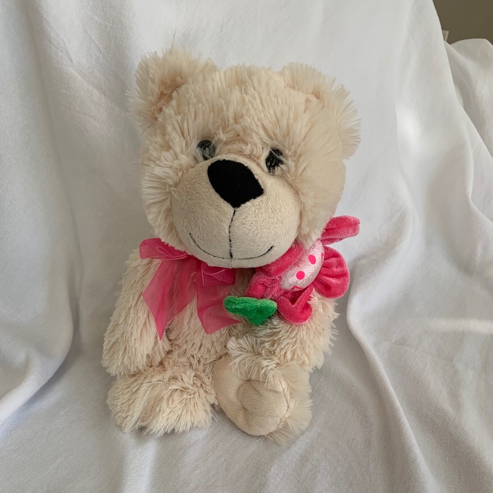 DanDee Collector's Choice Bear Push with Pink Bow and Smiling Flower
